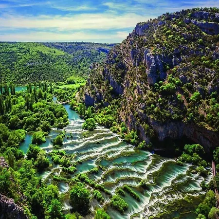 Camellia Villa Anić